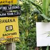 Banana Eco Farm leuke activiteiten